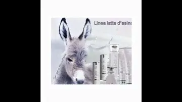 Linea latte d'asina - Chogan
